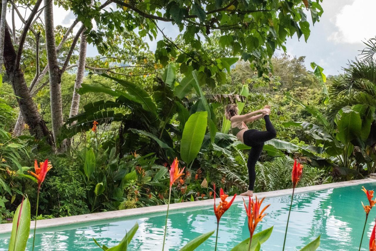 Jungle Lodge At Wild Sun Rescue Center Cabuya  Экстерьер фото